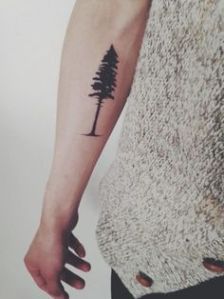 pine tree arm